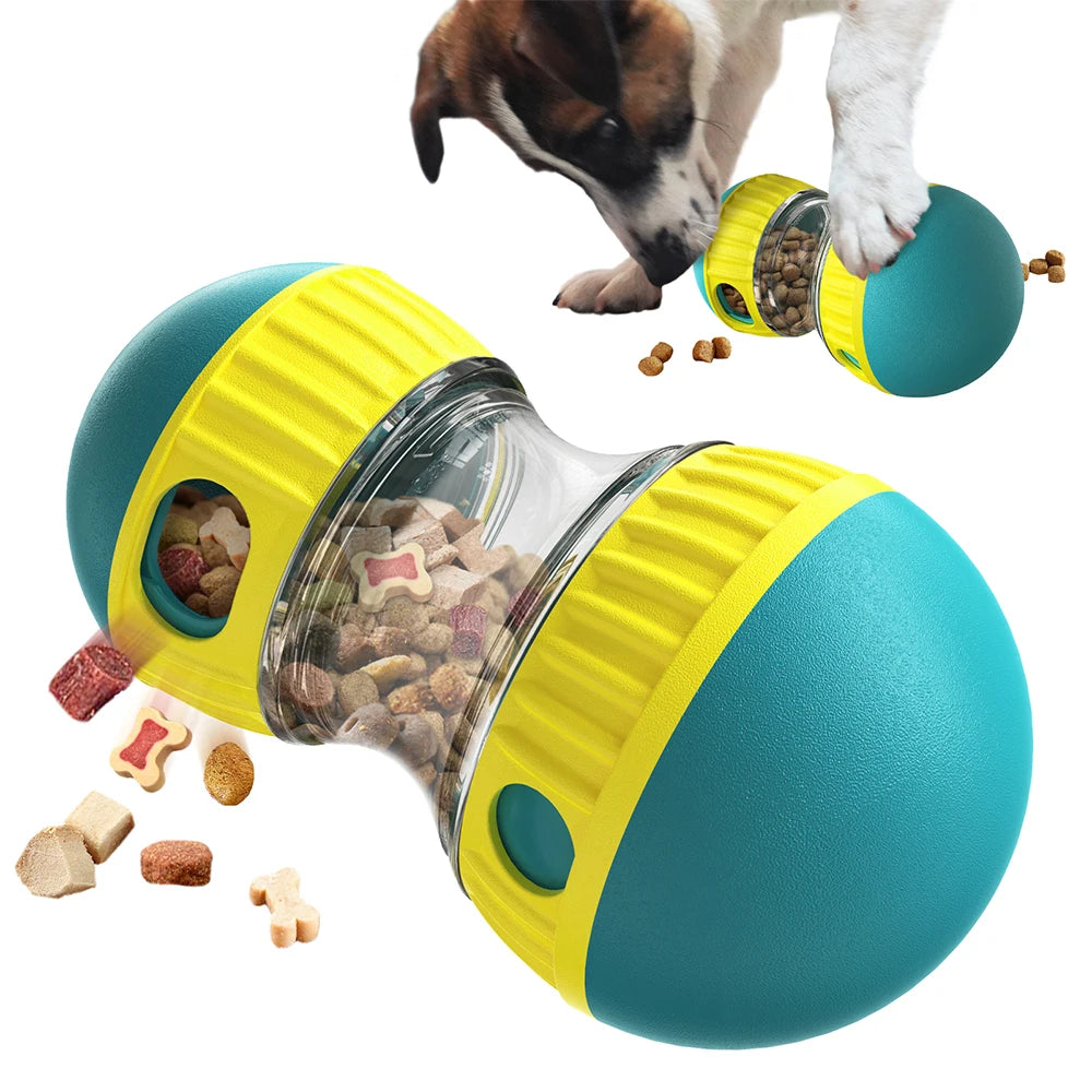 Interactive Toys & Slow-Feed Enrichment