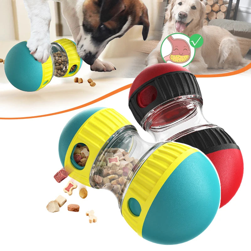 Interactive Toys & Slow-Feed Enrichment
