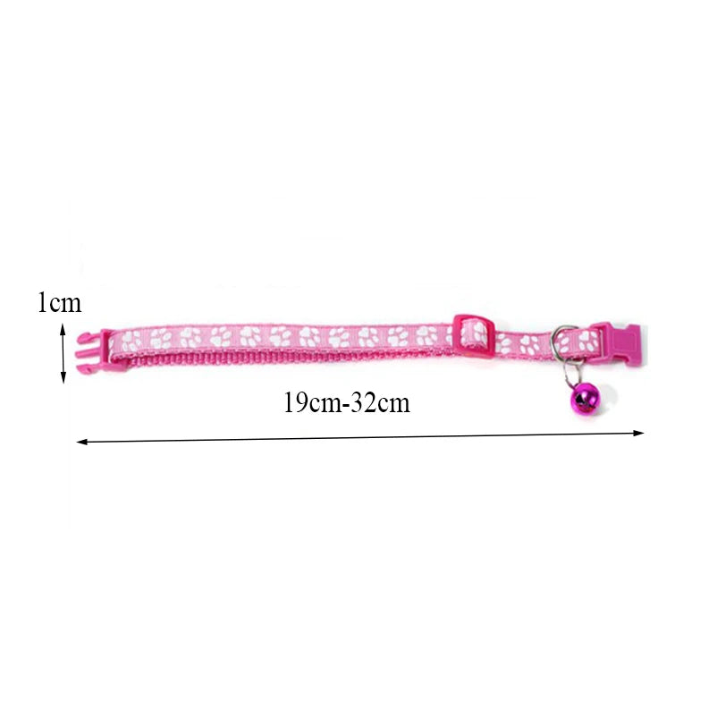 Collars & Safety Accessories