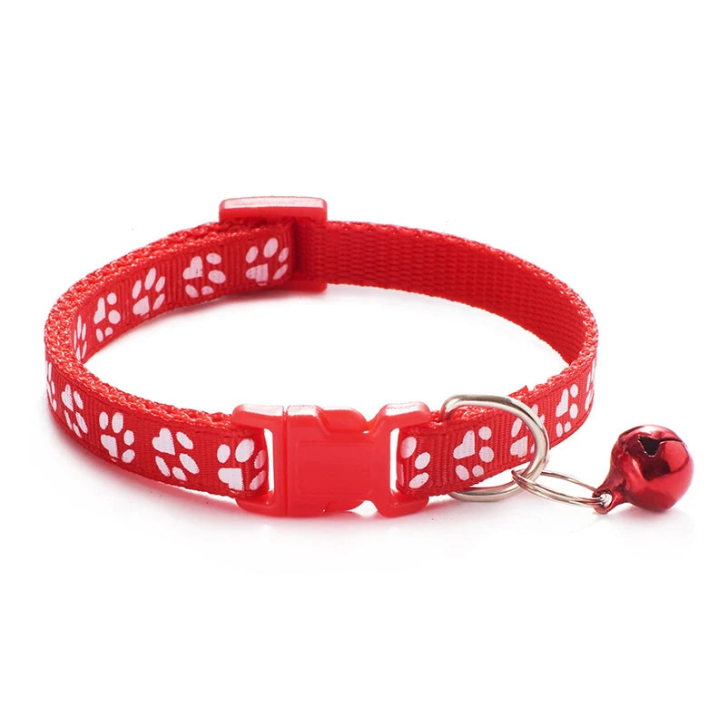 Collars & Safety Accessories