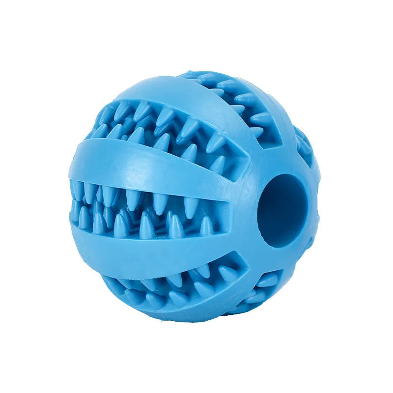 Interactive Toys & Dental Chew
