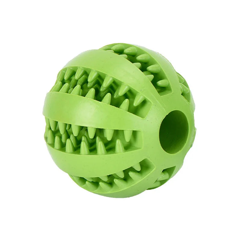 Interactive Toys & Dental Chew