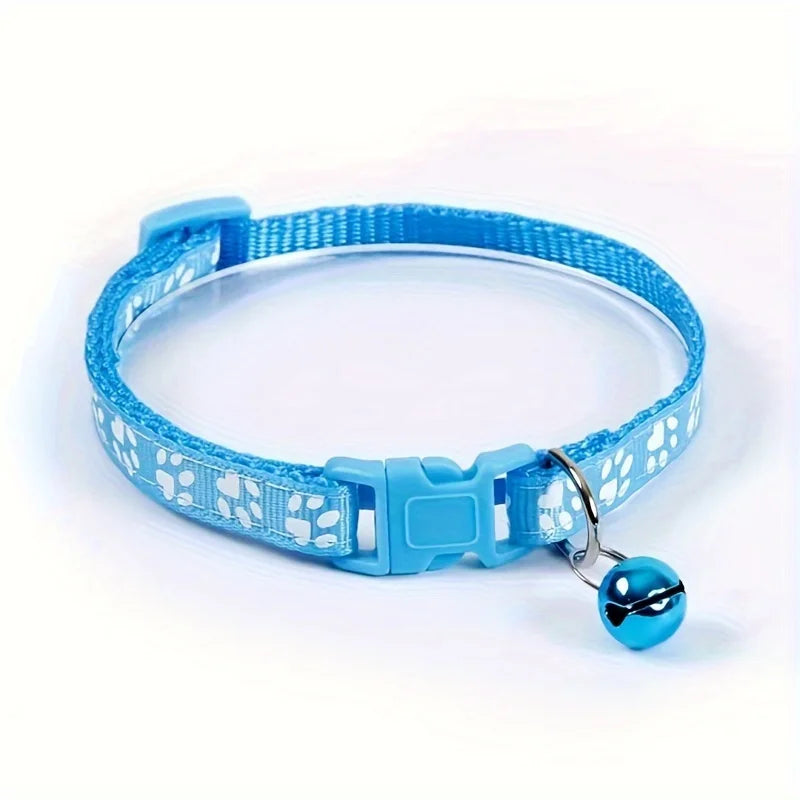 Collars & Safety Accessories
