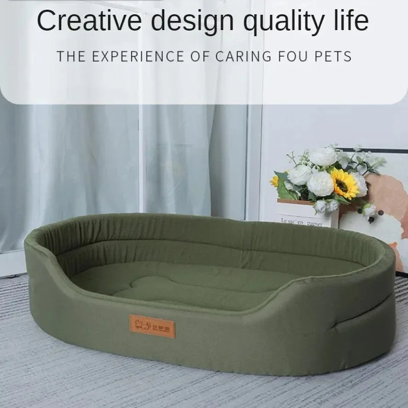 Beds & Sleep Comfort