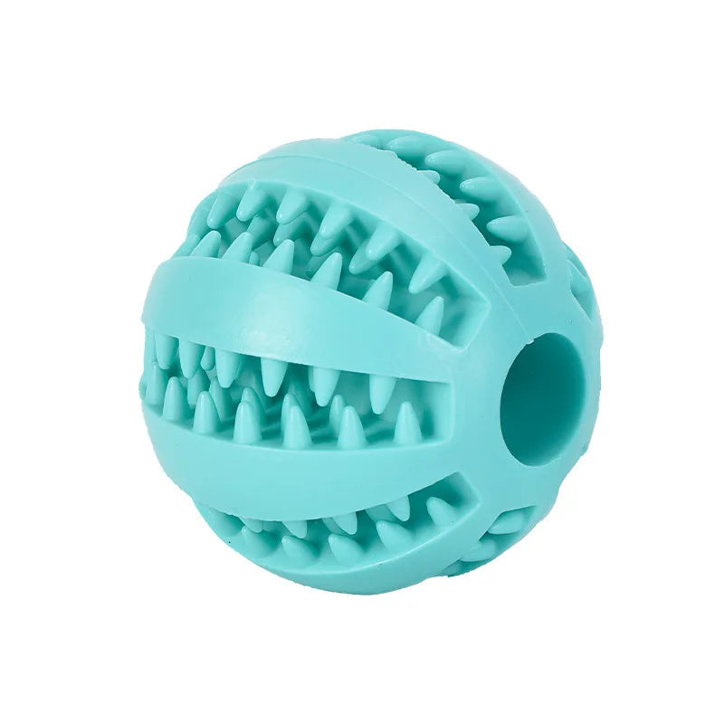 Interactive Toys & Dental Chew