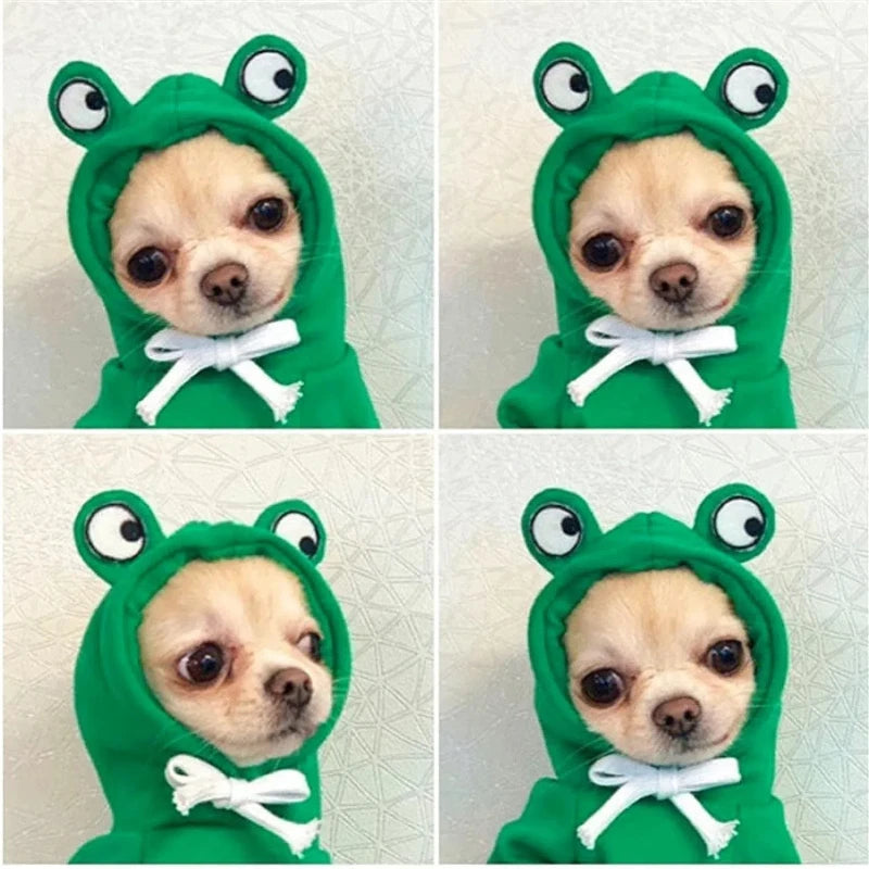 Pet Apparel & Winter Coats