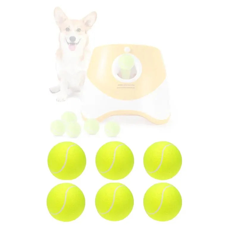 Interactive Toys & Outdoor Fun