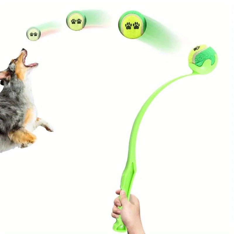 Interactive Toys & Outdoor Fun