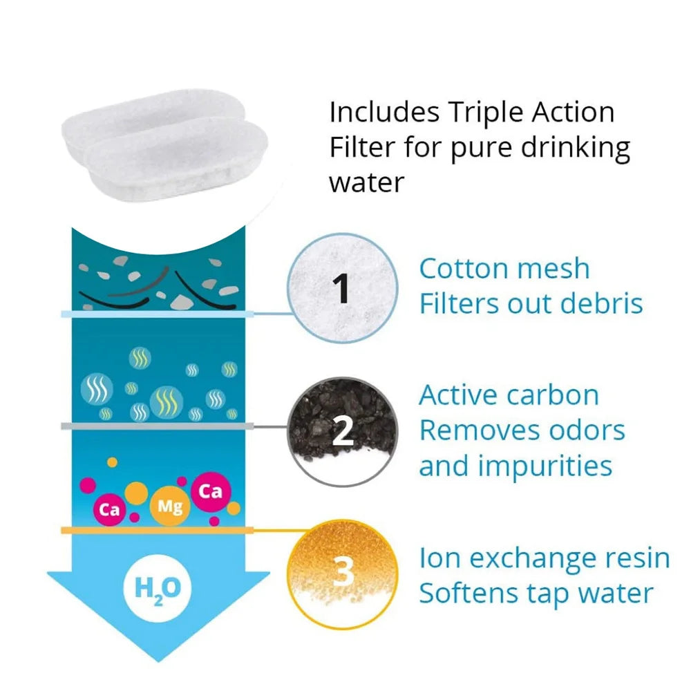 Hydration & Wellness Essentials