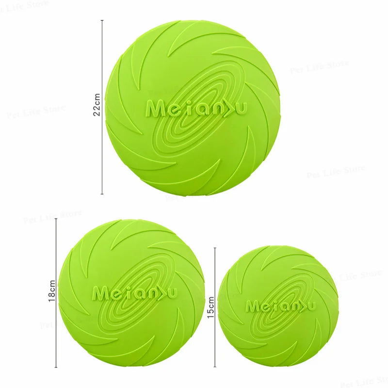 Interactive Toys & Outdoor Fun