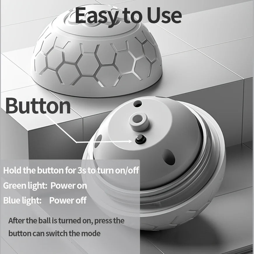 Interactive Toys & Indoor Action