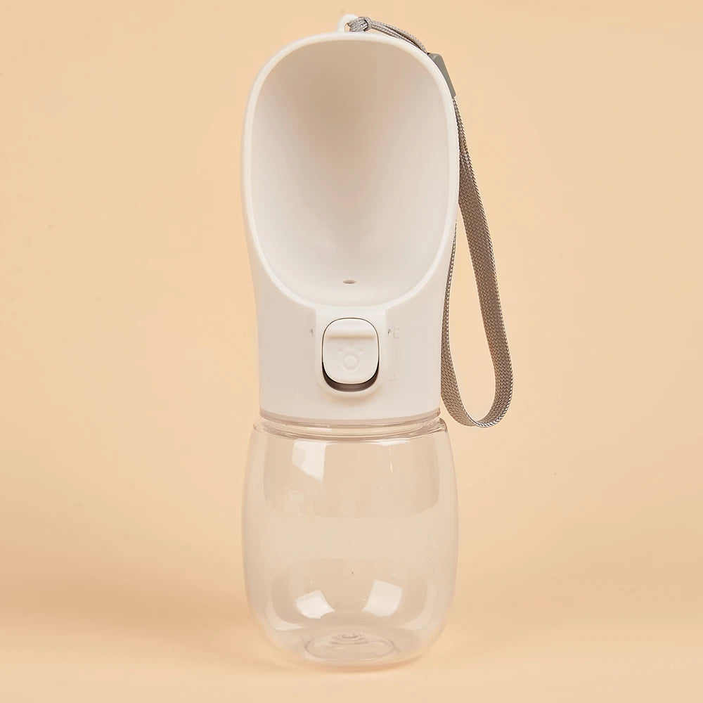 Hydration & Outdoor Essentials