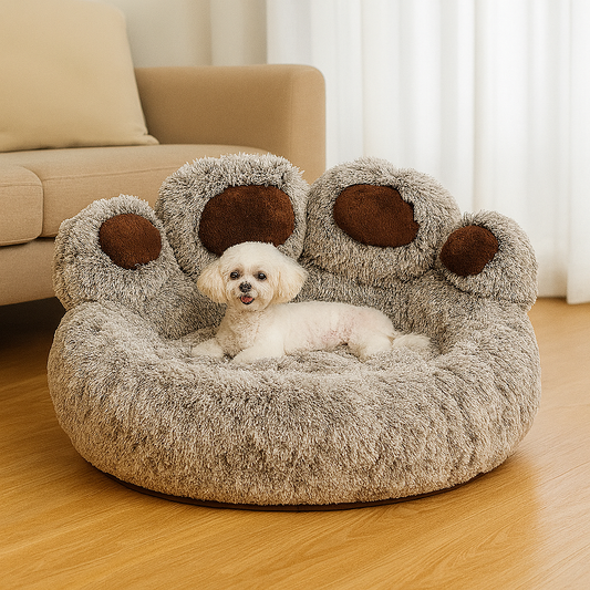 Beds & Sleep Comfort