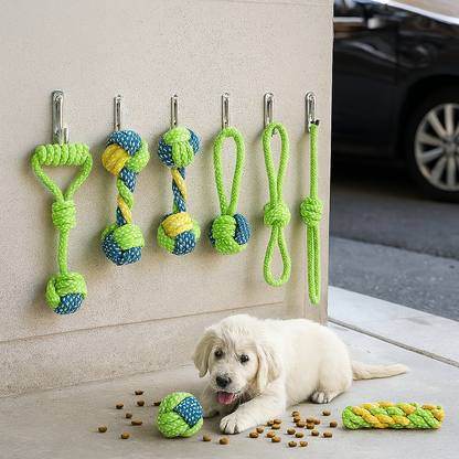 Interactive Toys & Dental Chew