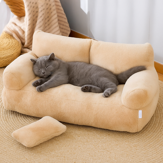 Beds & Sleep Comfort