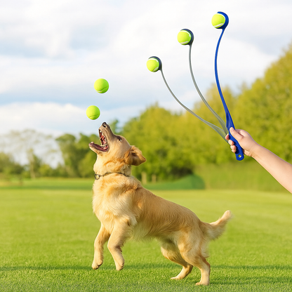 Interactive Toys & Outdoor Fun