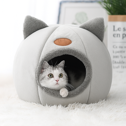 Beds & Sleep Comfort