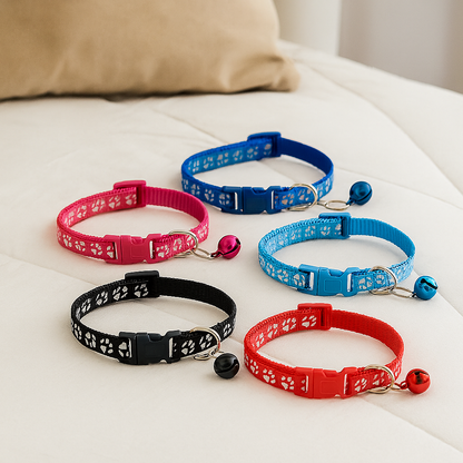 Collars & Safety Accessories
