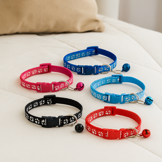 Collars & Safety Accessories