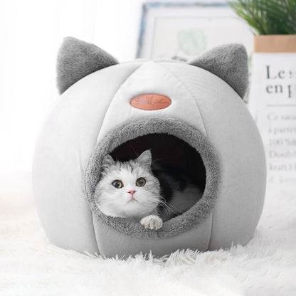 Beds & Sleep Comfort