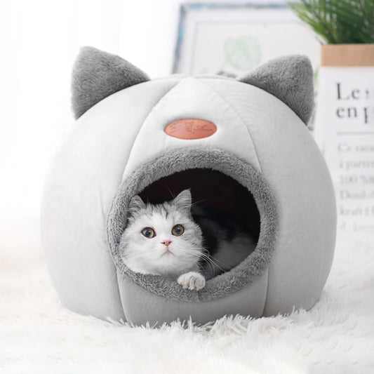 Beds & Sleep Comfort