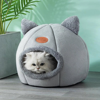 Beds & Sleep Comfort