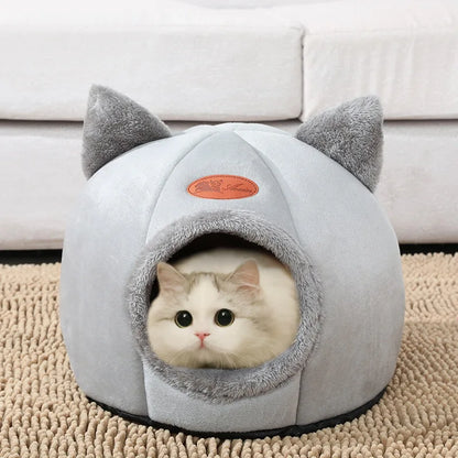 Beds & Sleep Comfort