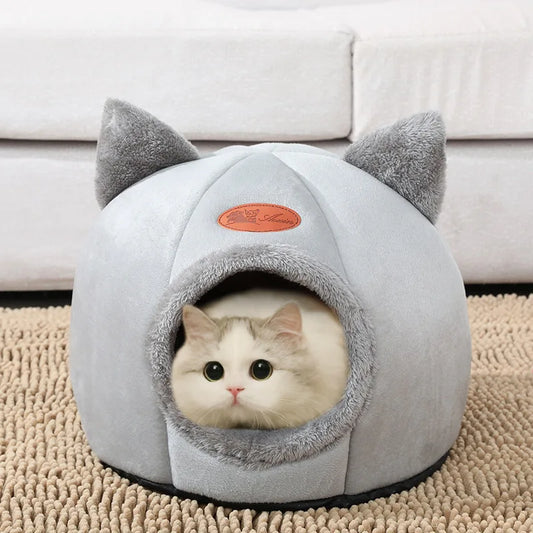 Beds & Sleep Comfort