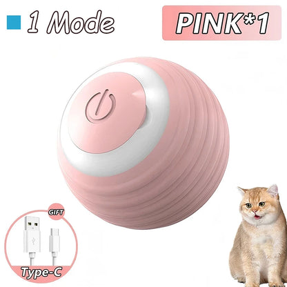Interactive Toys & Playtime Enrichment