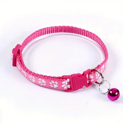 Collars & Safety Accessories