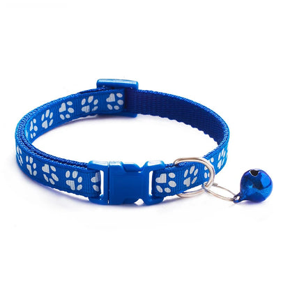 Collars & Safety Accessories