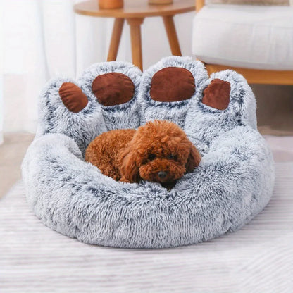 Beds & Sleep Comfort