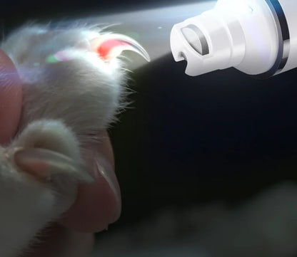 Claw Care & Grooming Tools