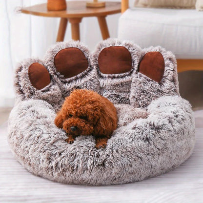 Beds & Sleep Comfort