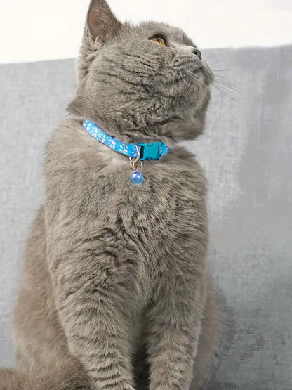 Collars & Safety Accessories