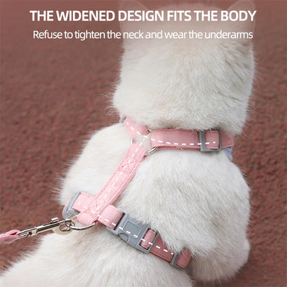 Outdoor & Walk Essentials