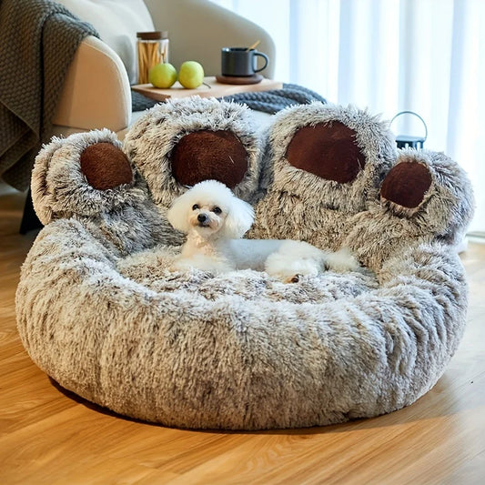 Beds & Sleep Comfort