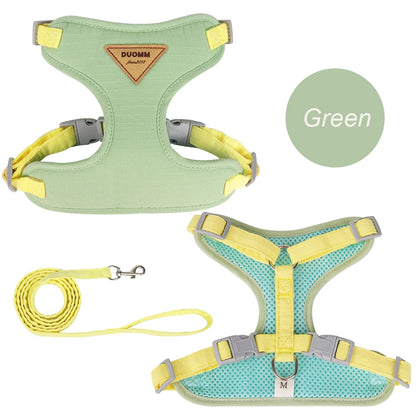 Outdoor & Walk Essentials