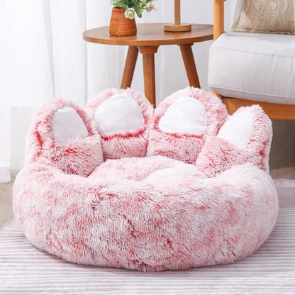 Beds & Sleep Comfort