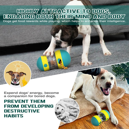 Interactive Toys & Slow-Feed Enrichment