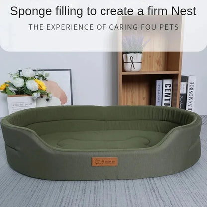Beds & Sleep Comfort