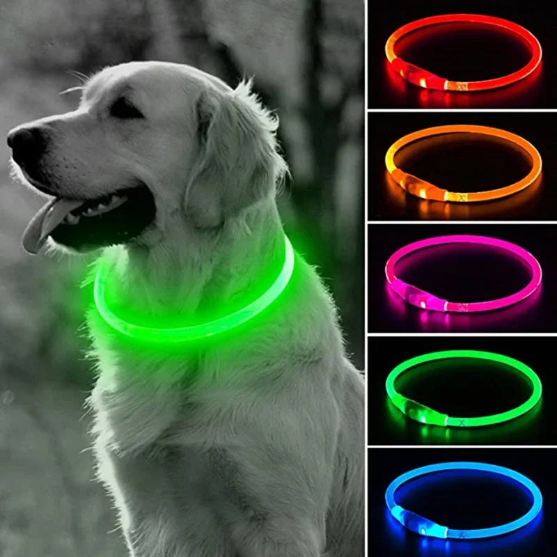 Visibility & Safety Accessories