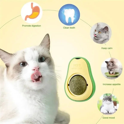 Interactive Cat Toys & Dental Enrichment