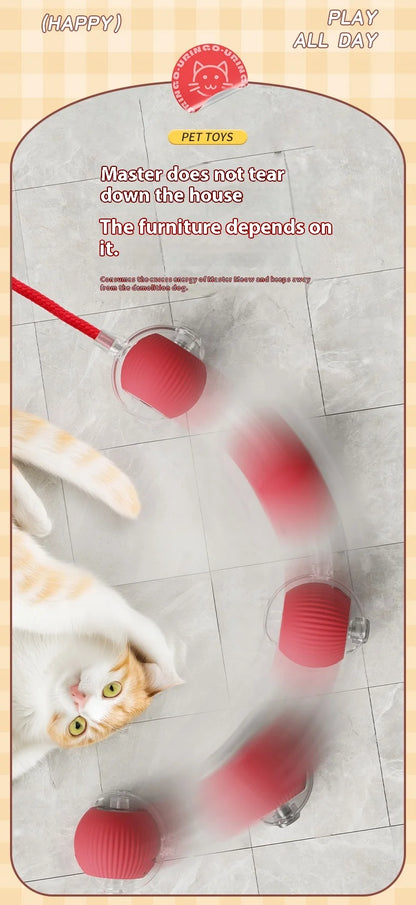 Interactive Toys & Playtime Enrichment