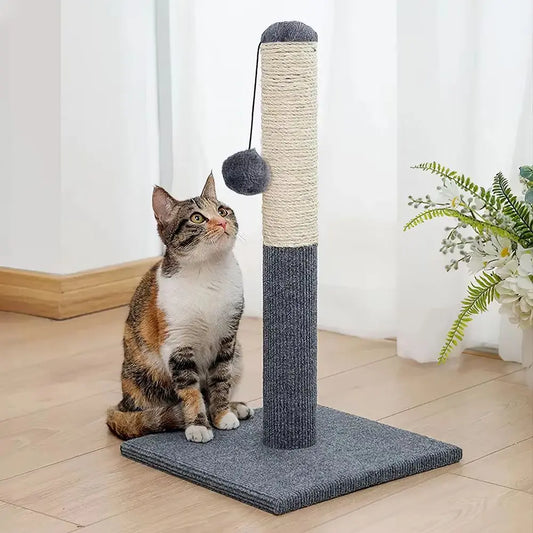 Claws & Keepers (Scratchers & Training)