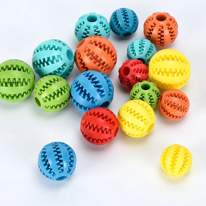 Interactive Toys & Dental Chew