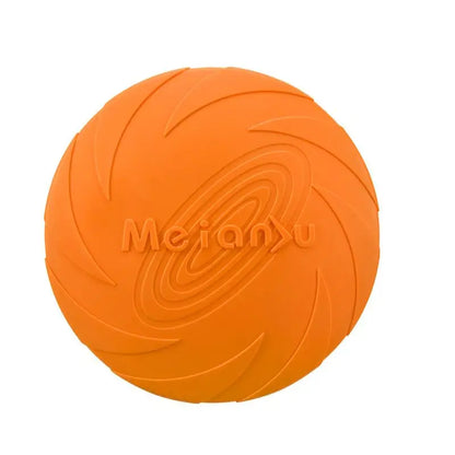 Interactive Toys & Outdoor Fun