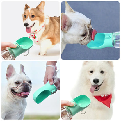 Hydration & Outdoor Essentials