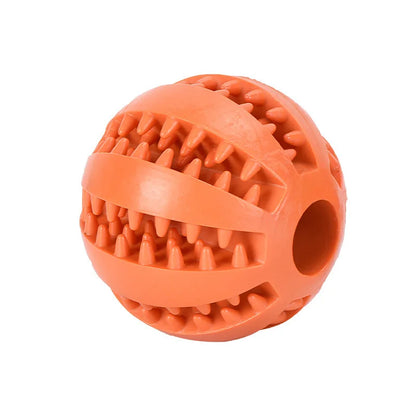 Interactive Toys & Dental Chew