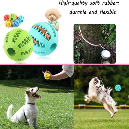 Interactive Toys & Dental Chew
